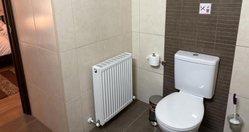 a bathroom with a white toilet and a radiator at Ta Spitakia tis Theodosias in Kalopanayiotis