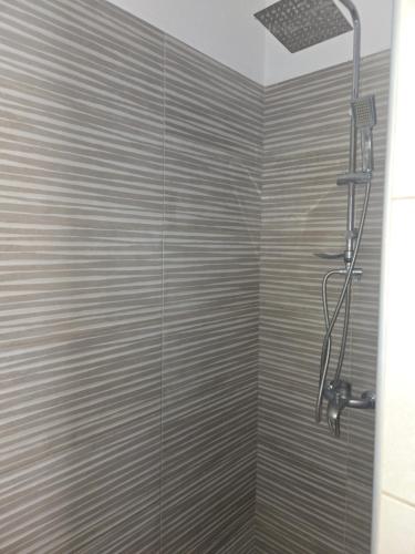 a bathroom with a shower with a glass door at Apartment sofia sea view in Nea Vrasna