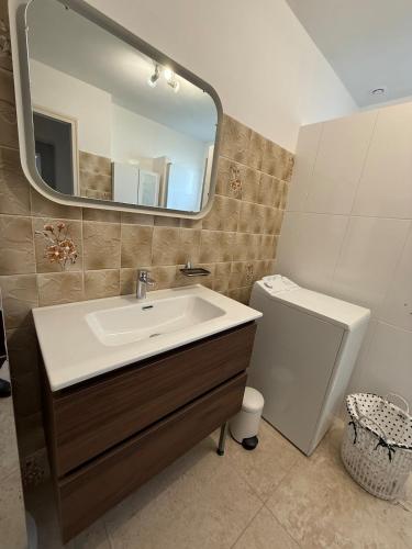 a bathroom with a sink and a mirror and a toilet at La ferme des Gabelles in Saint-Benoît-sur-Loire