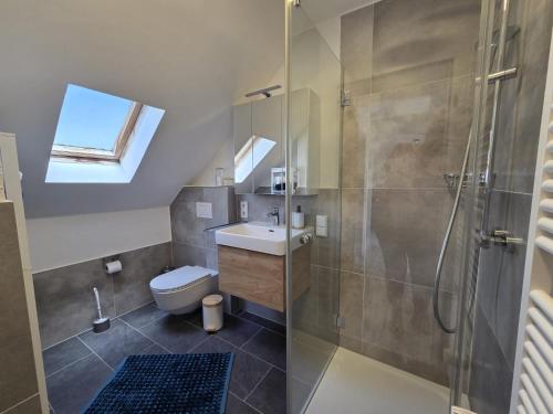 a bathroom with a shower and a toilet and a sink at Ferienhaus Eifel Horizont in Neuheilenbach