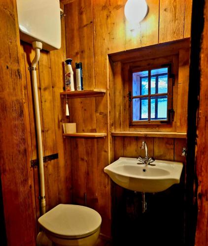 a bathroom with a sink and a toilet at FLICHTLHOF Hütte in Abtenau