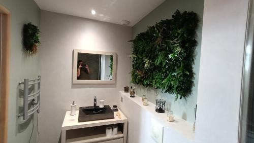 a bathroom with a sink and plants on the wall at Pierres et souvenirs in Usson-en-Forez