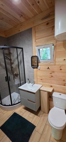 a bathroom with a toilet and a shower and a sink at Leśne Zacisze 4 in Łuka