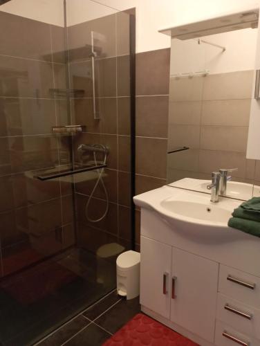 a bathroom with a shower and a sink and a toilet at La Chênaie Gîte in Sampzon