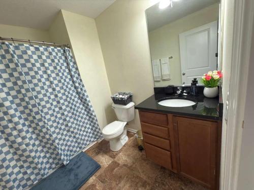 a bathroom with a toilet and a sink and a mirror at Joykip's place in West Des Moines