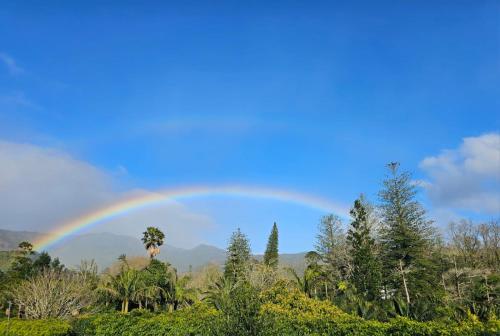 a rainbow in the sky over a forest at Vulcânica - Boutique Suites in Furnas São Miguel in Furnas