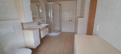 a bathroom with a shower and a sink and a toilet at Am Forellenteich in Amtsberg