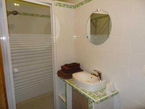 a bathroom with a sink and a mirror and a shower at Chambres d'hôtes Ferme de Sardonnet in Allouis
