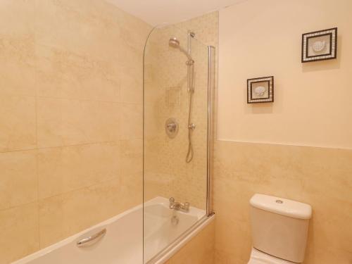 a bathroom with a shower and a toilet at Twyni Bach in Burry Port