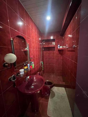 a red bathroom with a sink and a toilet at there is no a name in Itʼkhvisi
