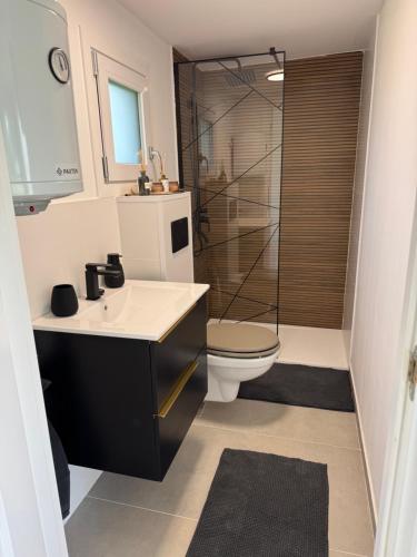 ein Badezimmer mit Toilette, Waschbecken und Dusche in der Unterkunft Tiny House ROA in Recea