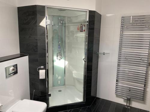 a bathroom with a shower and a toilet at Bellevue Nr 123 - Lemmer in Lemmer