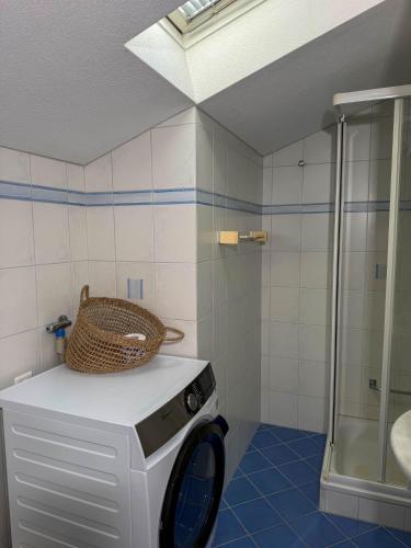 a bathroom with a washing machine with a basket on it at Orizzonte Blu by HolAp SA in Gambarogno