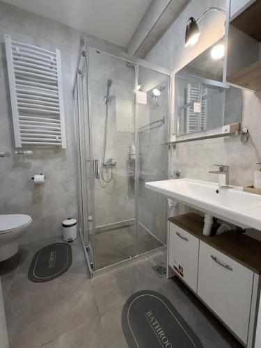 a bathroom with a shower and a sink and a toilet at Apartman Ivana in Kraljevo