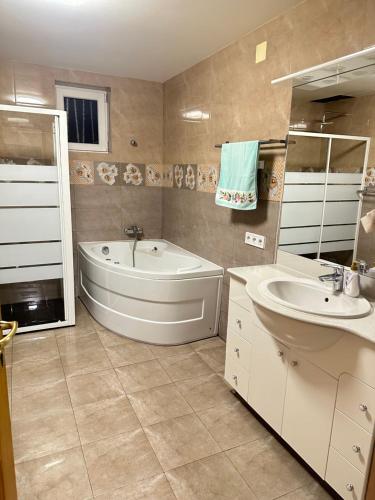 a bathroom with a tub and a sink and a bath tub at Casa Horeb Apuseni in Sohodol