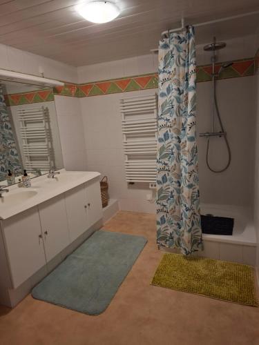 a bathroom with a sink and a shower curtain at Domaine de la Bréssandière in Châtillon-sur-Thouet