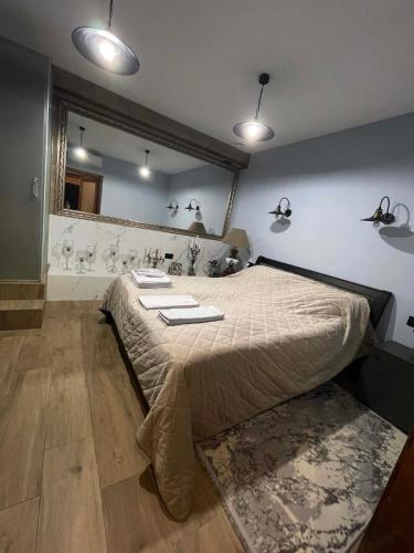 a bedroom with a bed and a large mirror at Villa Rinat Boutigue Hotel in Kyiv