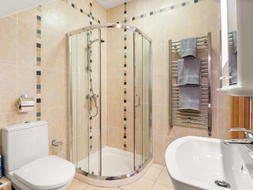 a bathroom with a shower and a toilet and a sink at Calla Lookout in Roundstone