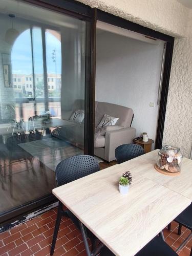 Appartement climatisé 4 pers Résidence Cap Coudalère avec Piscine