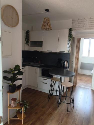 Appartement climatisé 4 pers Résidence Cap Coudalère avec Piscine