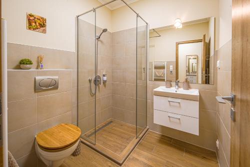a bathroom with a shower and a toilet and a sink at Palmy Home Ecser in Ecser