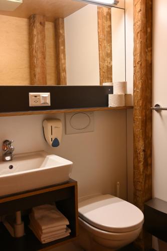 a bathroom with a sink and a toilet and a mirror at Hotel Genossenschaft Kreuz in Solothurn