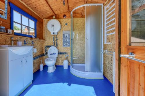 a bathroom with a toilet and a shower at Modrobílá chatka u rybníka in Holoubkov