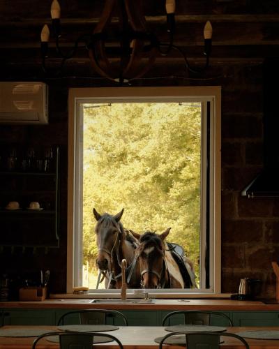two horses are looking out of a window at Chateau Vartsikhe in Varts'ikhe