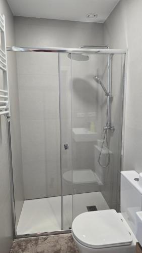 a bathroom with a glass shower with a toilet at Loft Casco Viejo 4 in Ourense