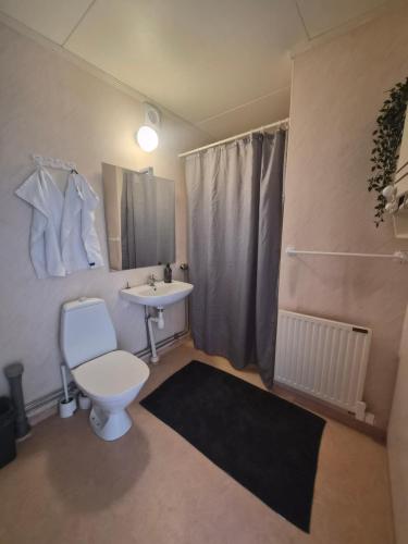 a bathroom with a white toilet and a sink at Skärplinge Gästis B&B in Skärplinge