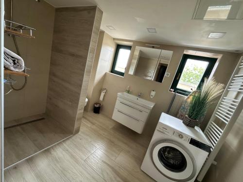 a small bathroom with a washing machine in it at Hiša Wambrechtsamer - House Wambrechtsamer in Planina pri Sevnici