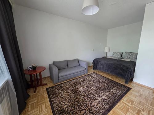 a bedroom with a bed and a chair and a rug at Studio at Tottinkatu in Savonlinna