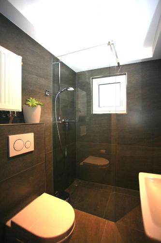 a bathroom with a toilet and a glass shower at Überlinger Seeapartment 1 in Überlingen