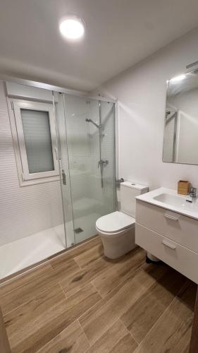 a bathroom with a shower and a toilet and a sink at AuraGalega Noro in Ribeira