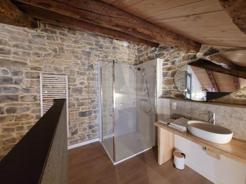 a bathroom with a shower and a sink at Les Appartements de Millau in Millau
