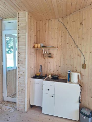a kitchen with a counter and a sink in a room at Akho Panorama in Batumi