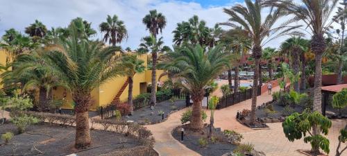 Bouganville - Apartment with Terrace & Shared Pool