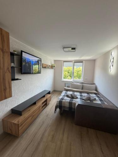 a bedroom with a large bed and a flat screen tv at U-Home in Verkhovyna