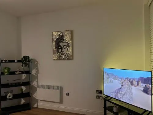 24-7 Secure City Centre Apartment with Parking for Families & Contractors photo 14