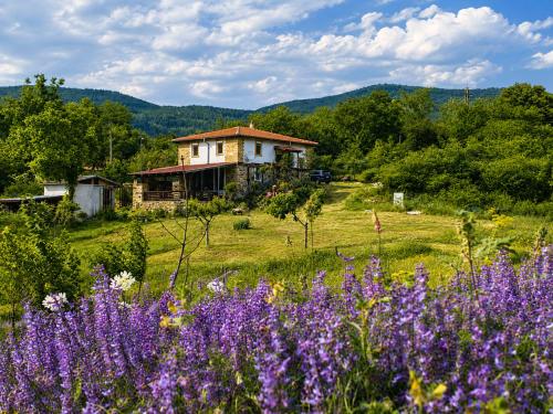 a house on a hill with a field of purple flowers at Old Stead Villa in Kŭrdzhali