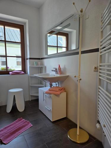 a bathroom with a sink and a mirror at Am Kirchberg Ferienwohnungen in Kurort Oberwiesenthal