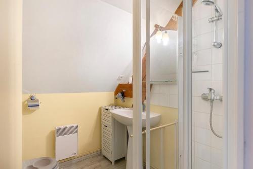 a bathroom with a sink and a shower at Gîte La Loge in Saint-Aignan