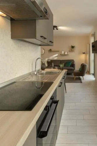 Beyond Properties - Lungo Dora photo 39
