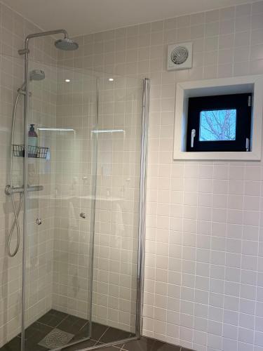 a bathroom with a glass shower with a window at Aurora Sea Lodges in Karpbukt