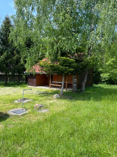 a house in a field with a tree at Ivói Faház in Izvoare