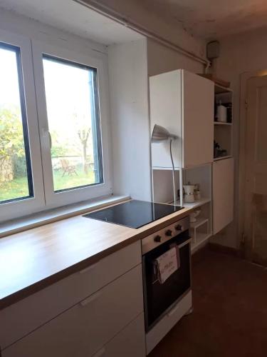 a kitchen with a counter and a sink and a window at Selo Station in Črniče