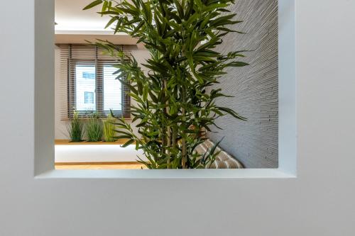 Grand Luxurious Apartment in the Heart of Plaka
