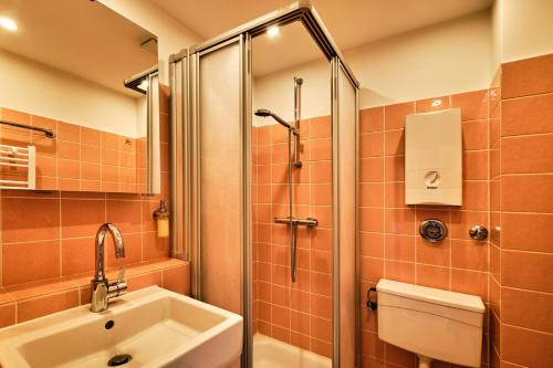 a bathroom with a shower and a sink and a toilet at FeWo Sonnenschein mit Pool & Balkon in Horumersiel