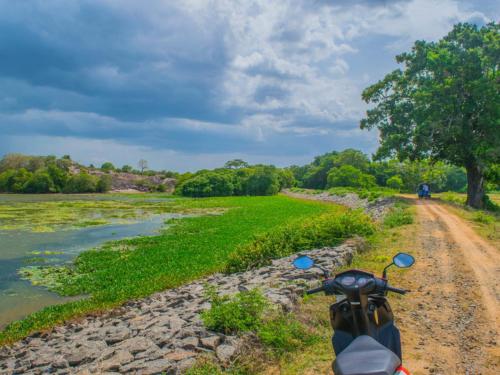 a motorcycle parked on a dirt road next to a river at Kadjan villa in Arugam Bay