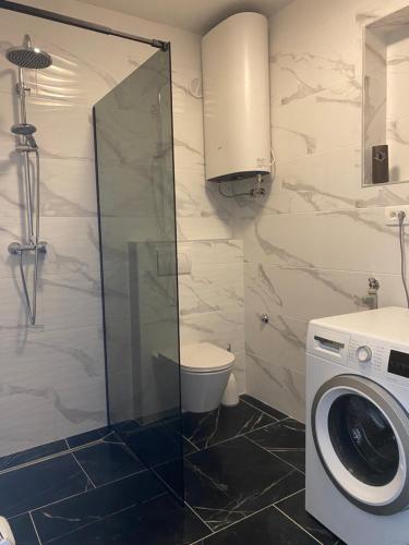a bathroom with a toilet and a washing machine at Apartments and Rooms Pavla in Senj
